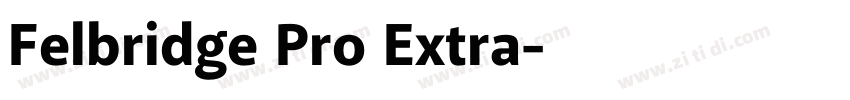 Felbridge Pro Extra字体转换